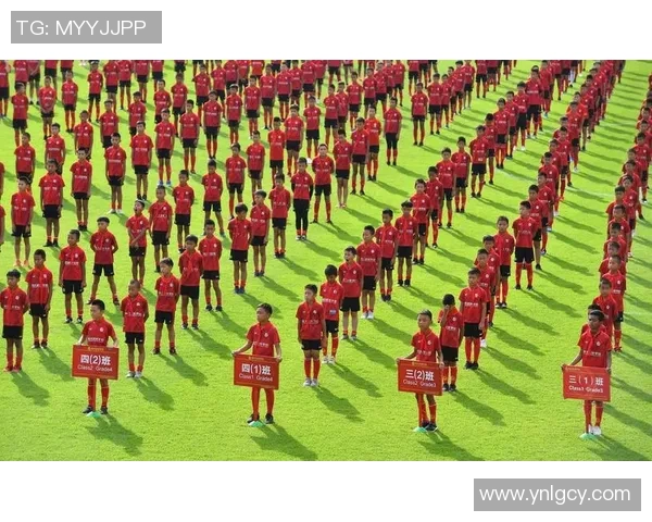 2003年中国与巴西足球对抗赛回顾与分析:激情碰撞的历史瞬间