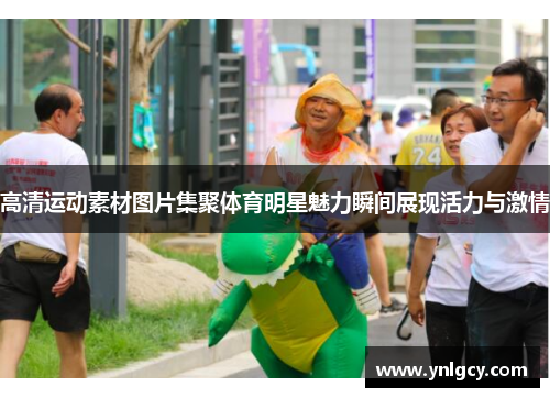 高清运动素材图片集聚体育明星魅力瞬间展现活力与激情