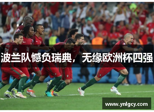 波兰队憾负瑞典，无缘欧洲杯四强