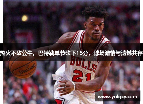 热火不敌公牛，巴特勒单节砍下15分，球场激情与遗憾共存