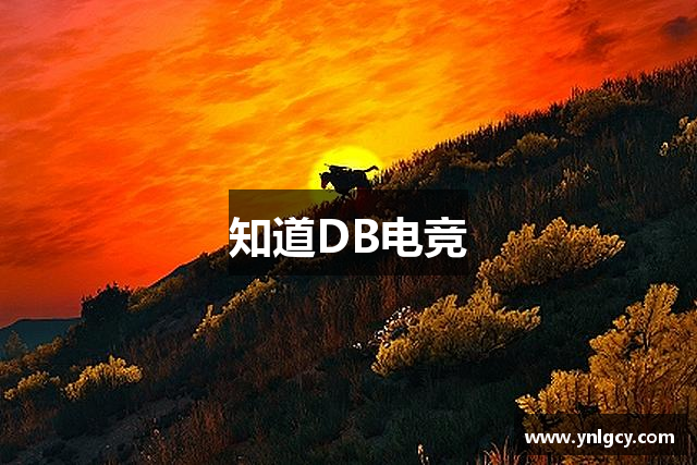 知道DB电竞